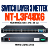 Switch Layer 3 NETTEK NT-L3F48X6