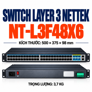 Switch Layer 3 NETTEK NT-L3F48X6