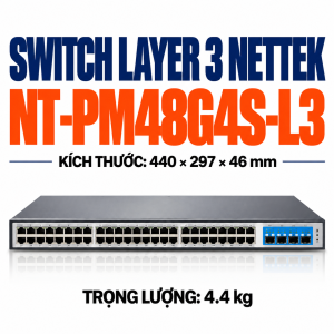 Switch Layer 3 NETTEK NT-PM48G4S-L3