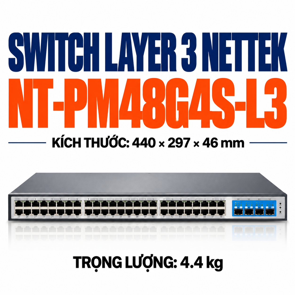 Switch Layer 3 NETTEK NT-PM48G4S-L3