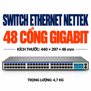 Switch Layer 3 NETTEK NT-48G6XUC-L3 48 Cổng Gigabit